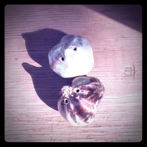 Salt and Pepper Shakers Host Pick